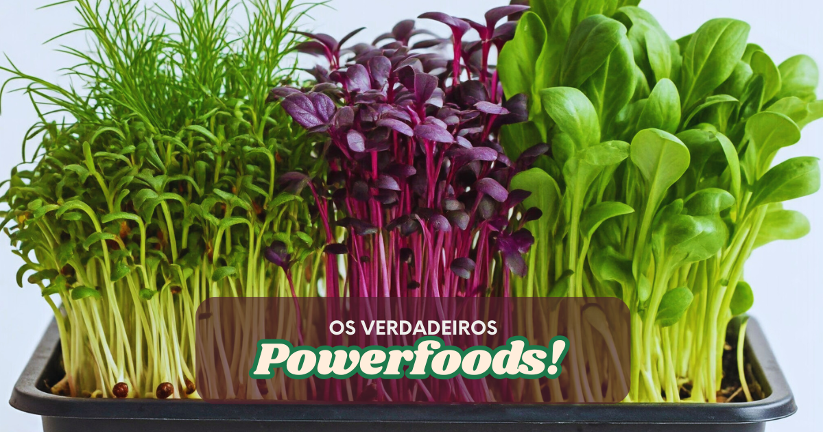 Microgreens: Pequenos Gigantes da Nutrição para Turbinar sua Saúde